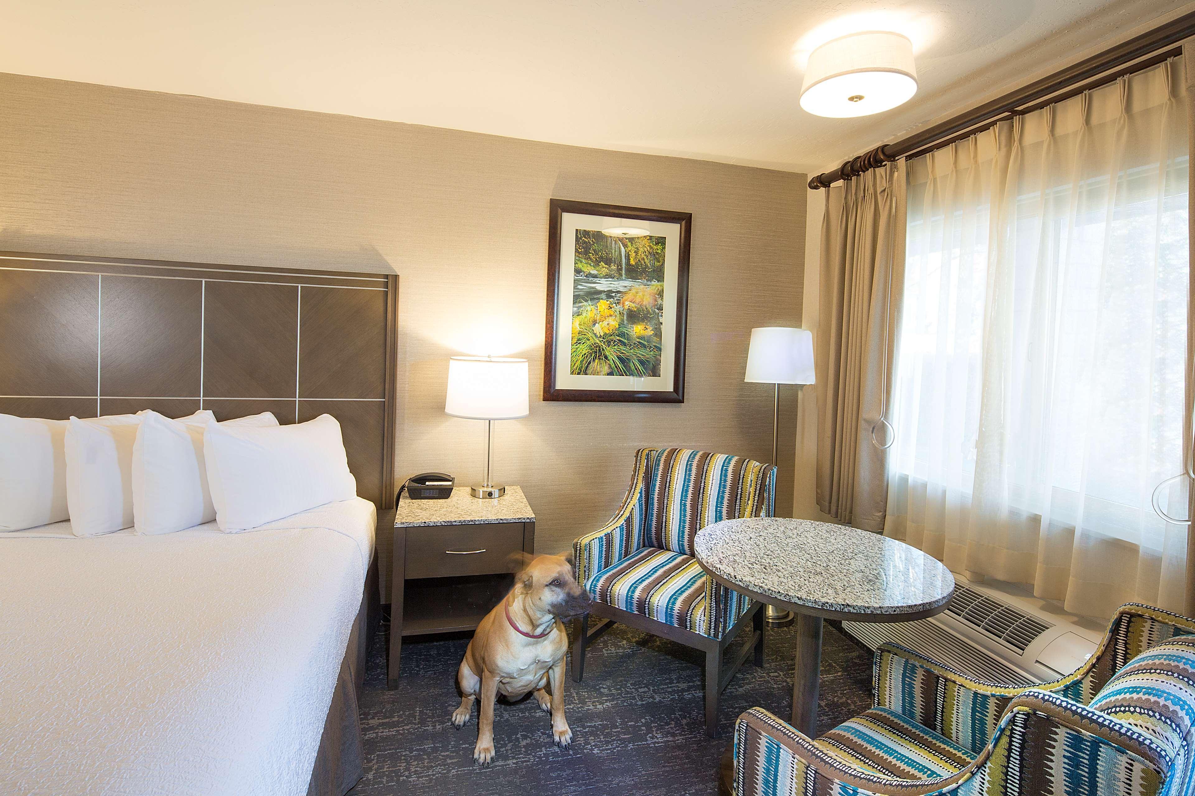 Best Western Plus Hilltop Inn Redding Eksteriør billede